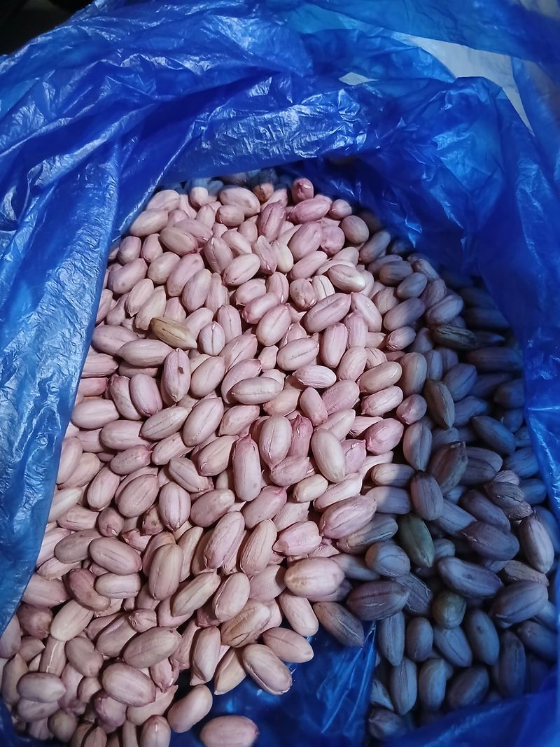 장터 상품 [왕땅콩 1kg] 썸네일