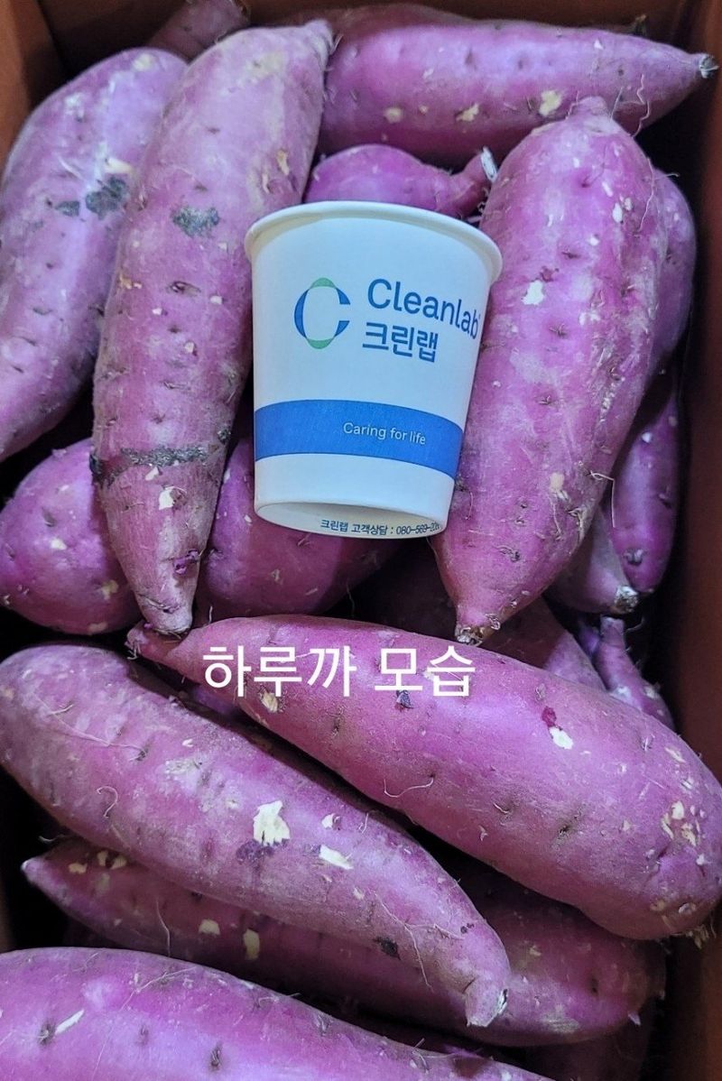 사랑꽃농장님의 장터 판매 상품 [반반 꿀 고구마 10kg(하루까+호풍미)] 첨부 사진