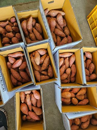 이재관(황토속애)님의 작성글 사진