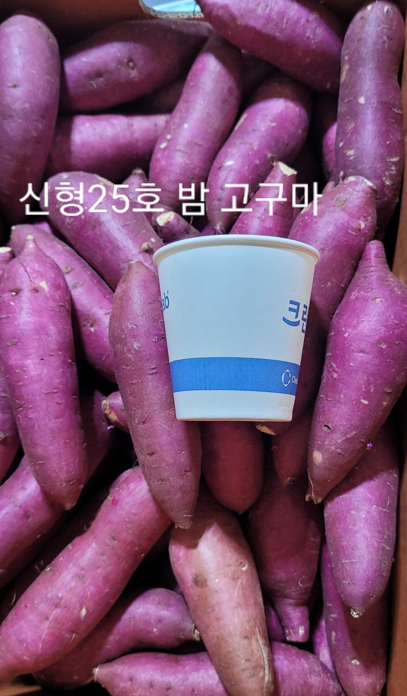 사랑꽃농장님의 장터 판매 상품 [반반 꿀 고구마 10kg(하루까+호풍미)] 첨부 사진