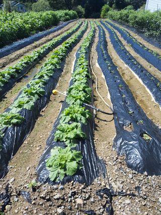 이연화님의 자유주제 · 자유게시판 작성글 사진