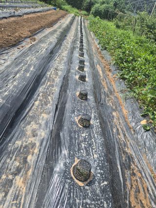 알 수 없음님의 자유주제 · 자유게시판 작성글 사진