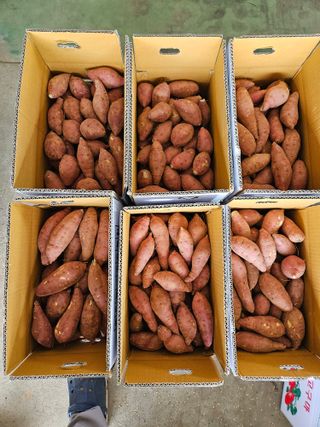 이재관(황토속애)님의 작성글 사진