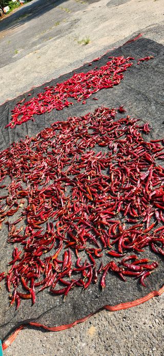 배순녀님의 작성글 사진