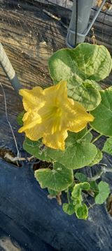 팜모닝 자유주제·자유게시판 게시글 이미지