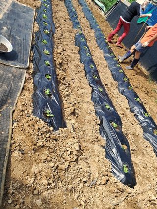 전희분님의 자유주제 · 자유게시판 작성글 사진