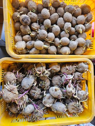 이재관(황토속애)님의 작성글 사진