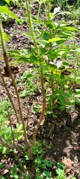 팜모닝 자유주제·자유게시판 게시글 이미지