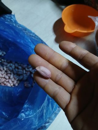 차병환 다복농장님의 작성글 사진