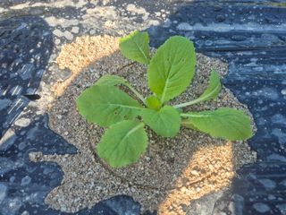 알 수 없음님의 자유주제 · 자유게시판 작성글 사진