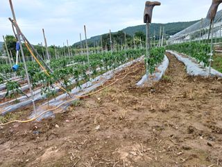 이정민님의 자유주제 · 사진전 작성글 사진