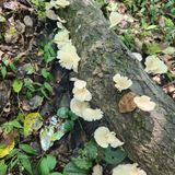 팜모닝 자유주제·건의해요 게시글 이미지