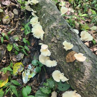 들깨님의 자유주제 · 건의해요 작성글 사진