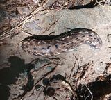 팜모닝 농사, 무엇이든 물어보세요!·참여글 게시글 이미지