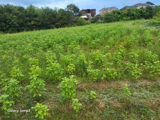 이천산수유3대농부님의 자유주제 · 건의해요 작성글 사진