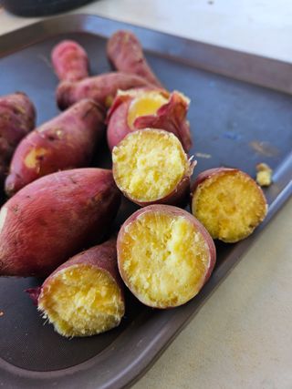 이재관(황토속애)님의 작성글 사진