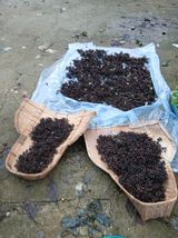 팜모닝 자유주제·자유게시판 게시글 이미지