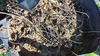 주윤발이님의 자유주제 · 자유게시판 작성글 사진