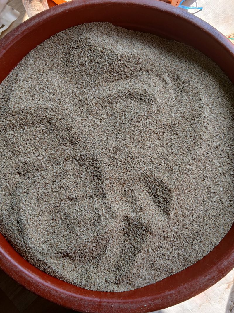 차병환 다복농장님의 장터 판매 상품 [참깨 1kg] 첨부 사진