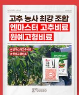 팜모닝 자유주제·자유게시판 게시글 이미지