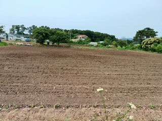 이정민님의 자유주제 · 사진전 작성글 사진