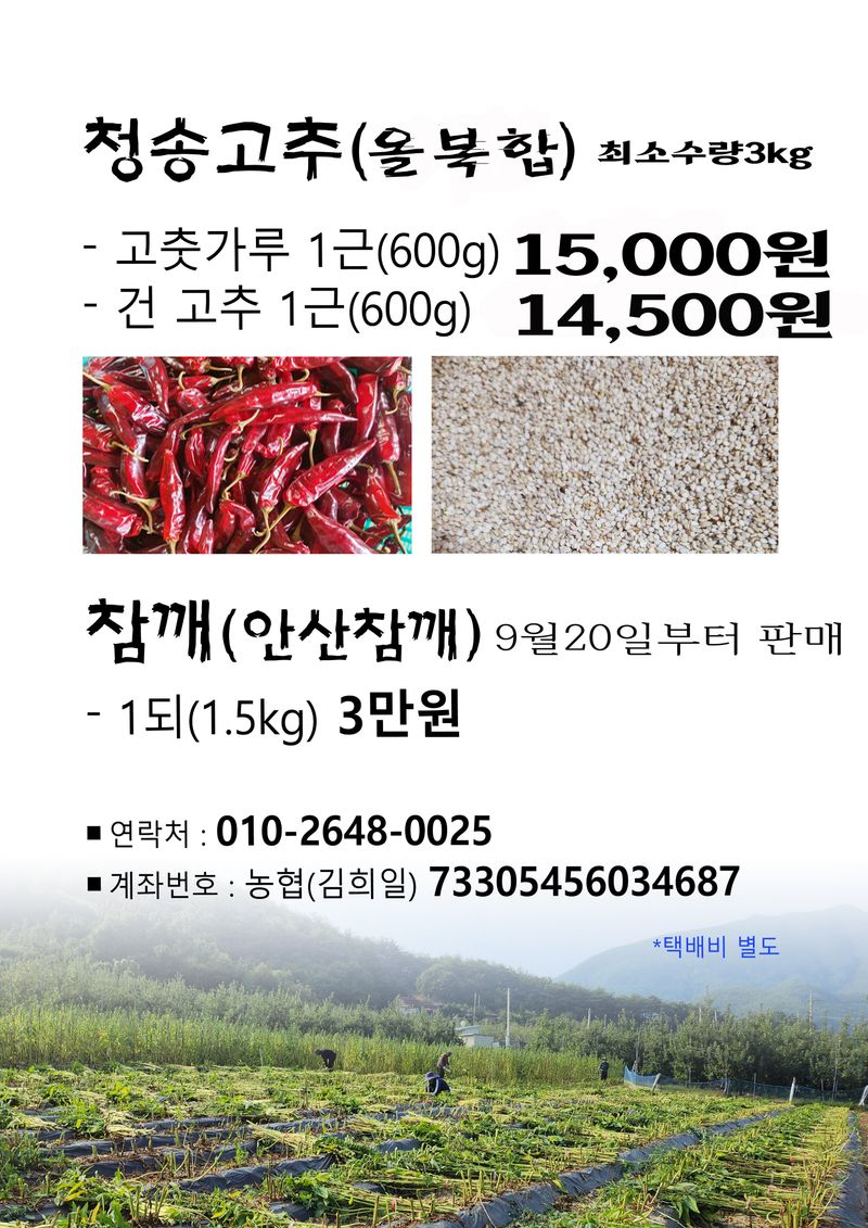 장터 상품 [청송 참깨,노지고추가루] 썸네일