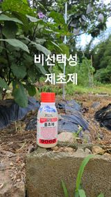 팜모닝 자유주제·자유게시판 게시글 이미지