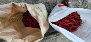 배순녀님의 작성글 사진