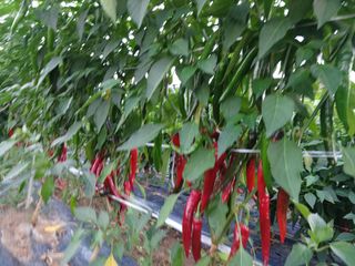 이정민님의 자유주제 · 사진전 작성글 사진