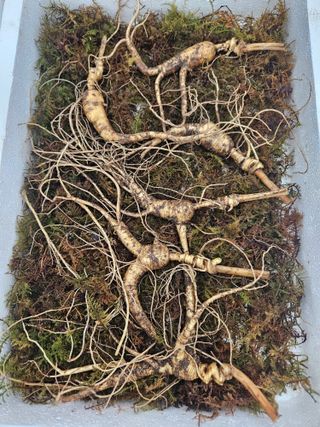 스마일님의 작성글 사진