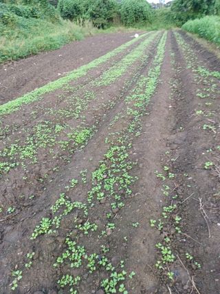 이정민님의 자유주제 · 사진전 작성글 사진