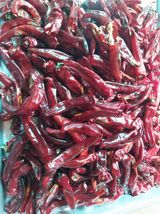 팜모닝 자유주제·자유게시판 게시글 이미지