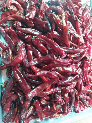 성규훈님의 자유주제 · 자유게시판 작성글 사진