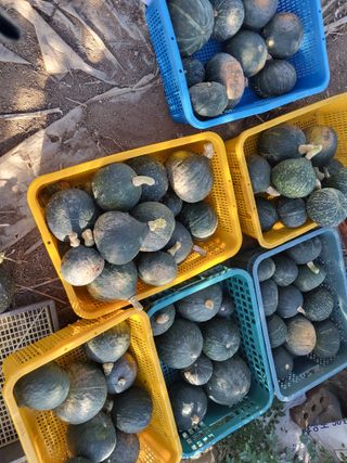 이연화님의 자유주제 · 자유게시판 작성글 사진