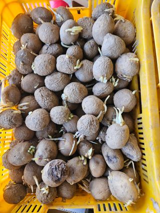 이재관(황토속애)님의 작성글 사진