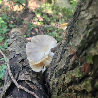 들깨님의 자유주제 · 건의해요 작성글 사진