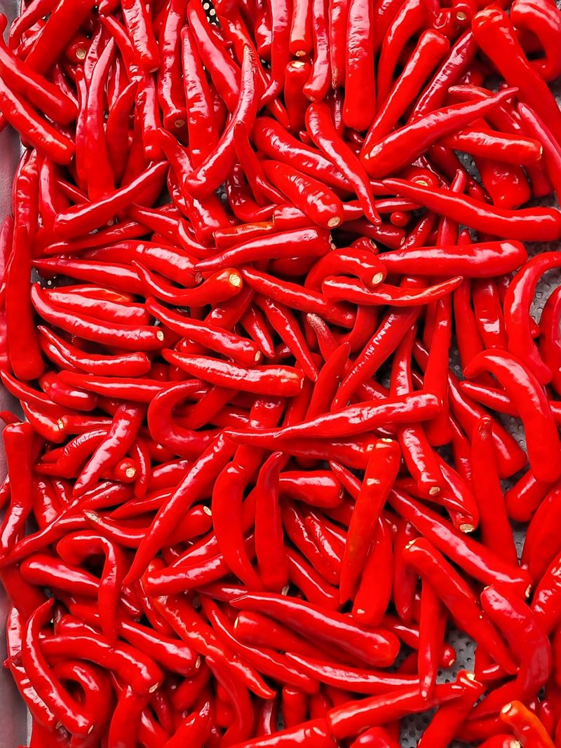 장터 상품 [(예약판매완료)2025년산 건고추 및 고춧가루 판매합니다.] 썸네일