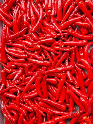 도매니저님의 작성글 사진