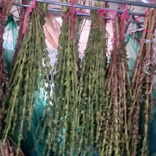 오화순님의 자유주제 · 자유게시판 작성글 사진