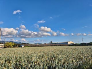 준영농장 출석왕.님의 자유주제 · 자유게시판 작성글 사진