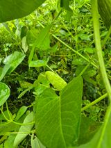 팜모닝 자유주제·자유게시판 게시글 이미지