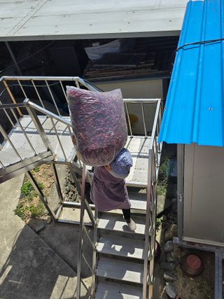 고추농사 정 미라님의 자유주제 · 자유게시판 작성글 사진