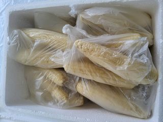 이연화님의 자유주제 · 자유게시판 작성글 사진