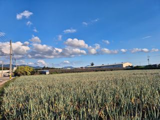 준영농장 출석왕.님의 자유주제 · 자유게시판 작성글 사진