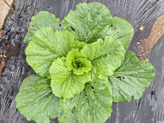 코알라님의 자유주제 · 자유게시판 작성글 사진