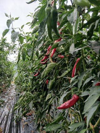 손수재님의 자유주제 · 자유게시판 작성글 사진