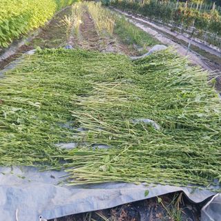 오화순님의 자유주제 · 자유게시판 작성글 사진