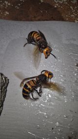 팜모닝 자유주제·자유게시판 게시글 이미지