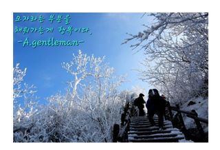 젠틀맨님의 자유주제 · 자유게시판 작성글 사진