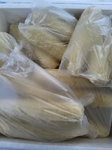 팜모닝 자유주제·자유게시판 게시글 이미지